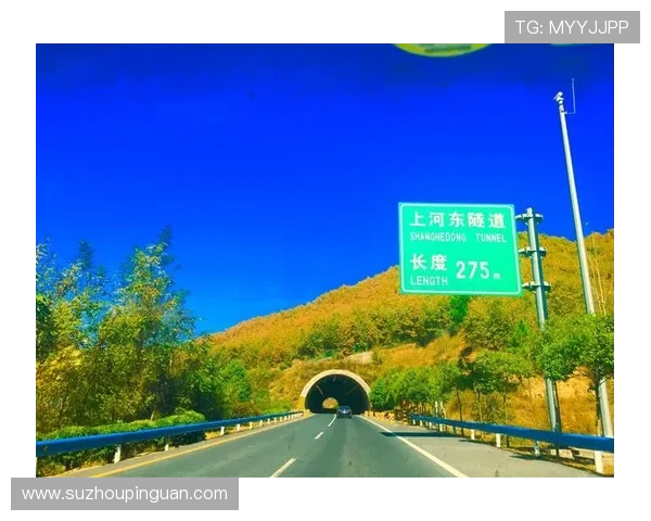 今夜，星辰入梦，我只想带你回家