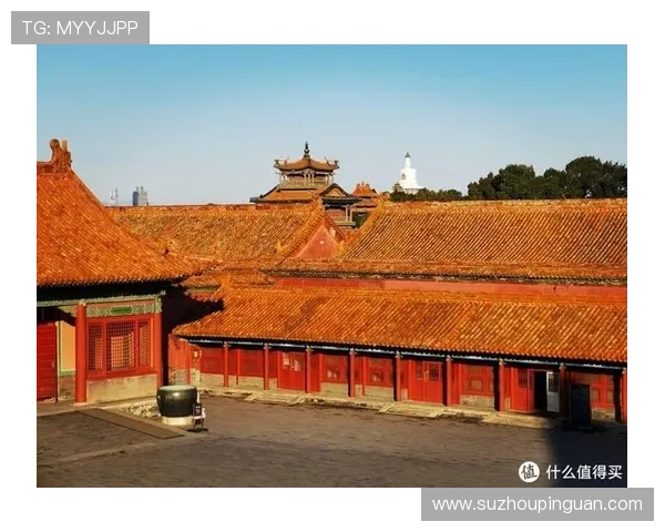 当紫禁城遇见好莱坞：一场跨越文化的《甄嬛传》美国奇遇记