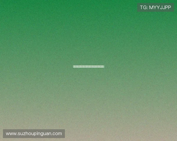 《小爸爸》：那些年我们一起追过的温暖与感动