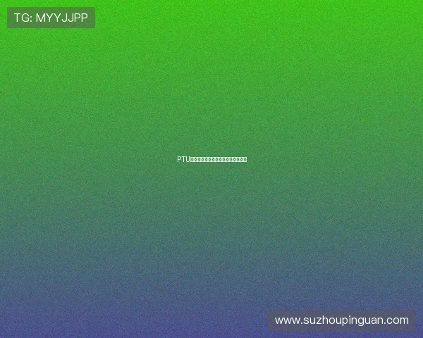 PTU绝路：当忠诚与理性在十字路口相遇