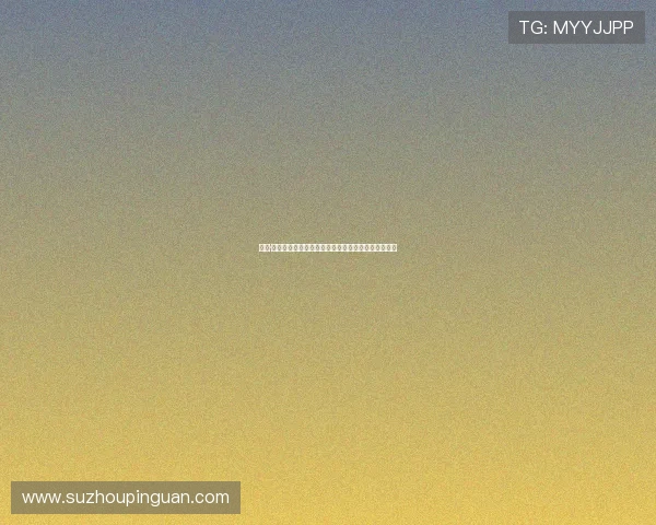 摩根·莉莉：现代女性的魅力图鉴，优雅与力量的完美融合